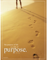 Picture for Life Strategy Coaching package